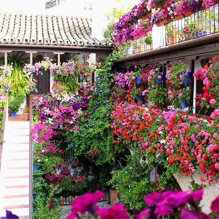 Apartmán Puerta A La Mezquita Córdoba Exteriér fotografie